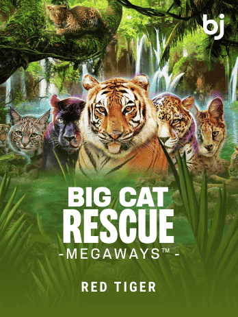 Big Cat Rescue Megaways™